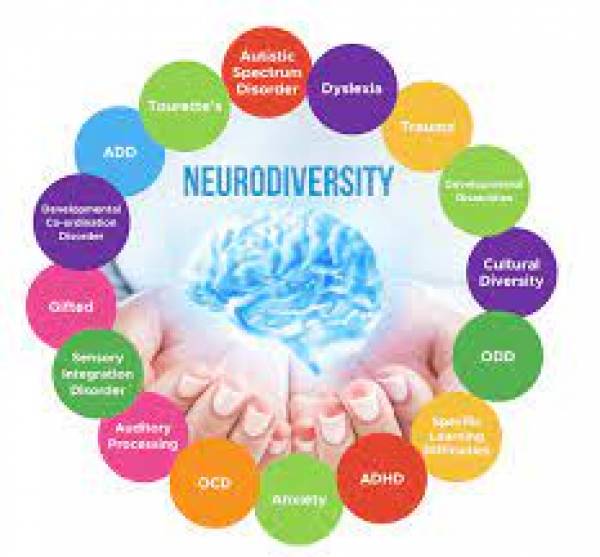Memahami Lebih Jauh Istilah Neurodiversity