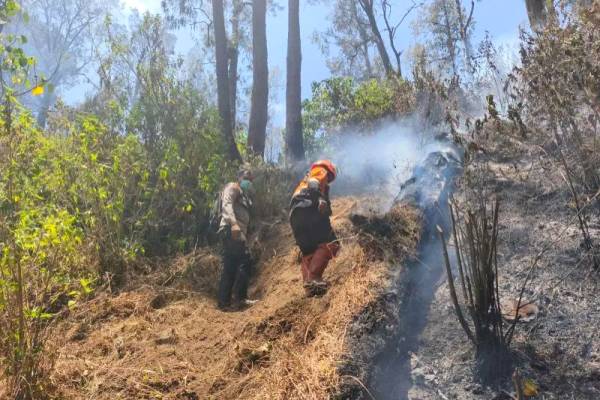 Kebakaran 1.530 Hektare di Gunung Butak Padam, Petugas Tetap Siaga dan Lakukan Water Bombing