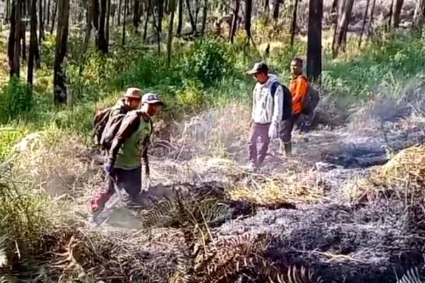 Karhutla Berakhir, Jalur Arjuno-Welirang Masih Ditutup