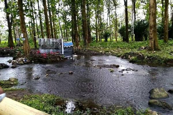 Kapas Ijo, Wisata Hits Lumajang