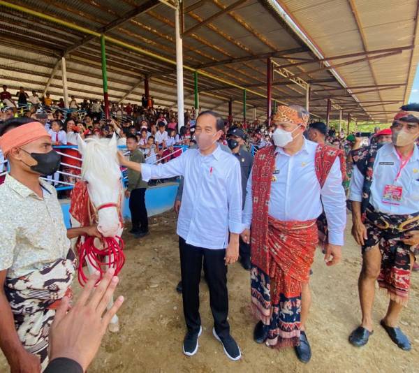 Kala Jokowi Menonton Pacuan Kuda