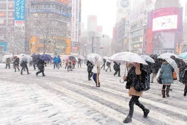 Waktu Terbaik Berlibur ke Jepang Berdasarkan Musim