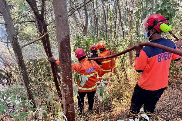 Krisis Sumber Air dan Cuaca Hambat Pemadaman Karhutla di Pegunungan Jawa Timur