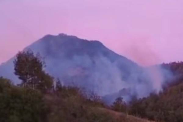 Arjuno-Welirang Tutup Pendakian Usai Kebakaran Tahura Raden Soerjo