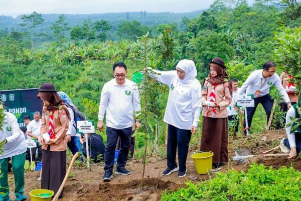 Jatim Perkuat Peran dalam Agenda Iklim Global, Khofifah Dorong Konservasi Mangrove hingga Ekonomi Hijau