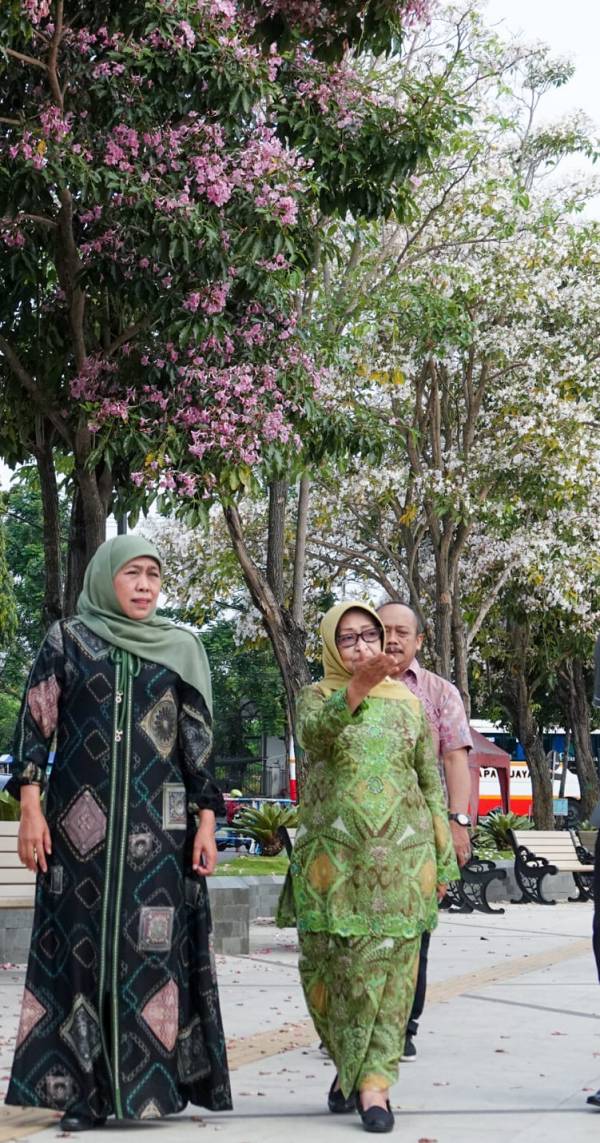 Terpukau Keindahan Bunga Tabebuya di Jombang, Begini Kata Gubernur Khofifah