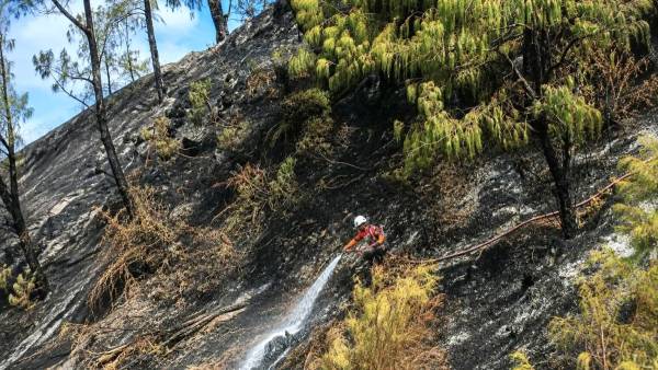 Gunung Bancak Kondusif, BPBD Jatim Konsentrasi Tangani Karhutla di Kawah Ilalang Ijen