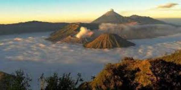 Gunung Semeru, Paku Tanah Jawa