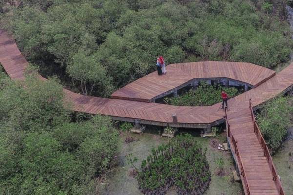 Kebun Raya Gunung Anyar, Kebun Raya Mangrove Pertama di Indonesia