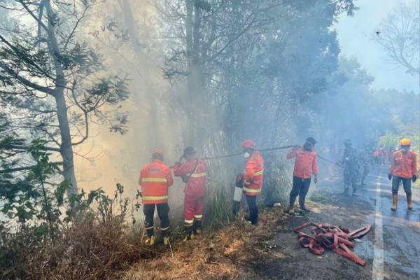 Eskalasi Karhutla di Jawa Timur: Empat Gunung Terkerung Asap, Pemadaman Udara Terkendala Cuaca Ekstrem