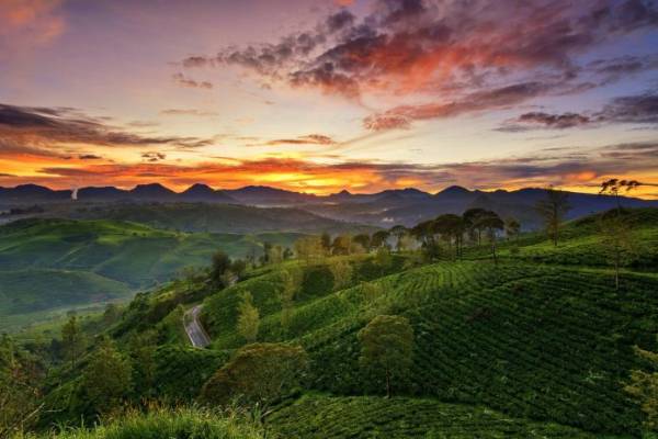 Ini Tempat Berburu Matahari Terbit sambil Wisata Kuliner