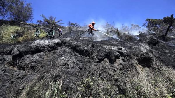 BMKG Deteksi 106 Titik Panas di Jatim, Wilayah Lumajang dan Jember Catat Sebaran Terbanyak