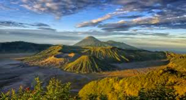 Wisata Bromo Dibuka Lagi Usai Kebakaran 1.121 Hektare