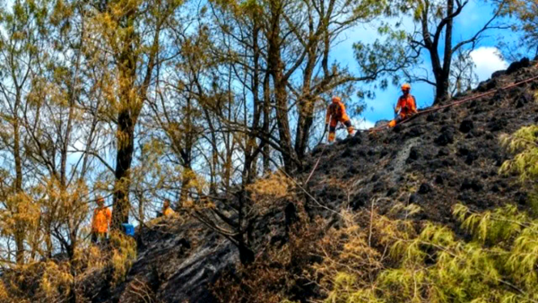 Setelah 1.120 Hektare Terbakar, Api Bromo Akhirnya Padam