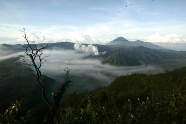Fenomena Frozen Gunung Bromo, Traveler Domestik dan Mancanegara Nikmati Keindahan Lautan Pasir 'Salju' dari Dekat