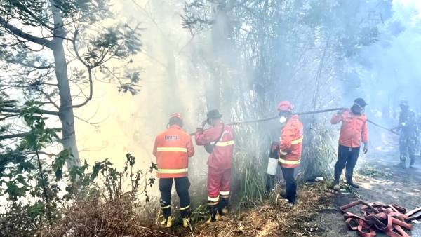 BPBD Jatim Catat 9.269 Hektare Lahan Terbakar Sepanjang Musim Kemarau 2026, Lumajang Terparah